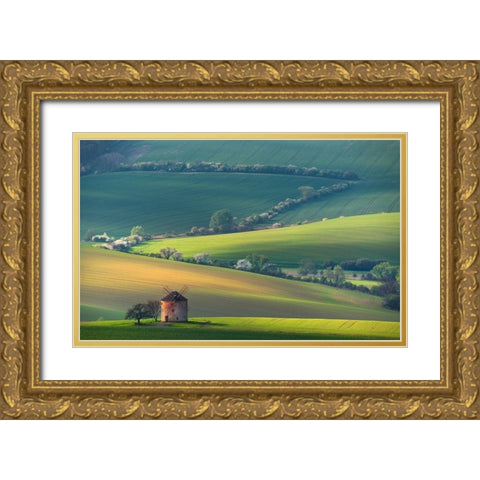 About Forms A Lines Gold Ornate Wood Framed Art Print with Double Matting by Sokolovsky, Vlad