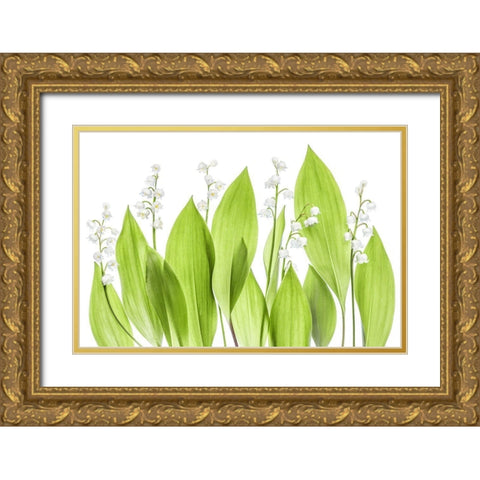 Lily Of The Valley Gold Ornate Wood Framed Art Print with Double Matting by Disher, Mandy