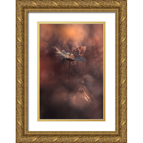 Pyrotechnics Gold Ornate Wood Framed Art Print with Double Matting by Bravin, Fabien