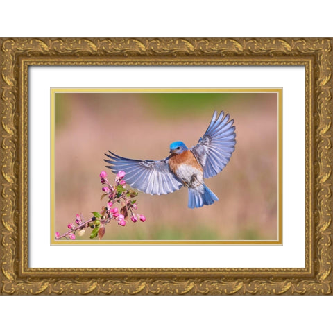Colorful Spring Gold Ornate Wood Framed Art Print with Double Matting by Luo, Jim