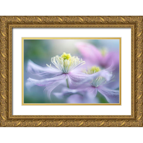 Sway Gold Ornate Wood Framed Art Print with Double Matting by Parker, Jacky