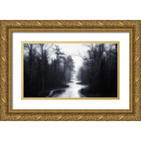 Slalom Gold Ornate Wood Framed Art Print with Double Matting by Rothstein, David