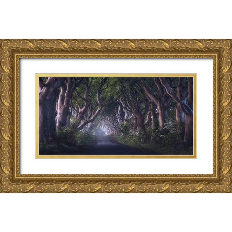 The Dark Hedges Gold Ornate Wood Framed Art Print with Double Matting by Gastager, Daniel