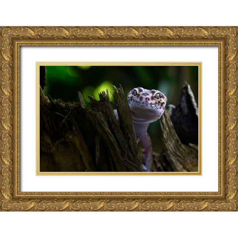 Cute Smile Gold Ornate Wood Framed Art Print with Double Matting by Maududdin, Fauzan