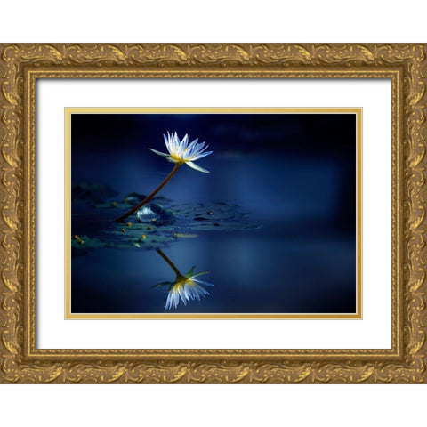 Reflection Gold Ornate Wood Framed Art Print with Double Matting by Suzuki, Takashi