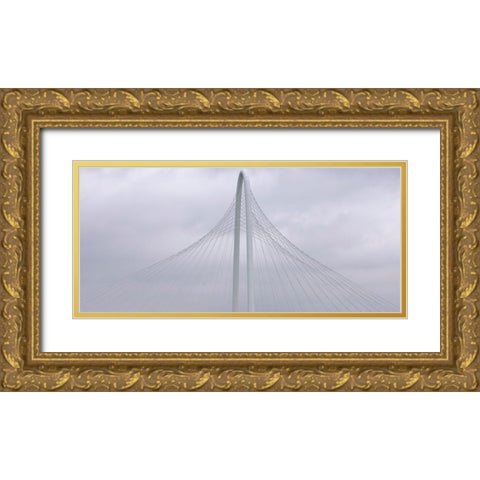 Floating Gold Ornate Wood Framed Art Print with Double Matting by Autry, Steven