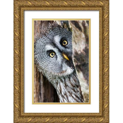Whos There Gold Ornate Wood Framed Art Print with Double Matting by Concepcion Alvarado, Jesus
