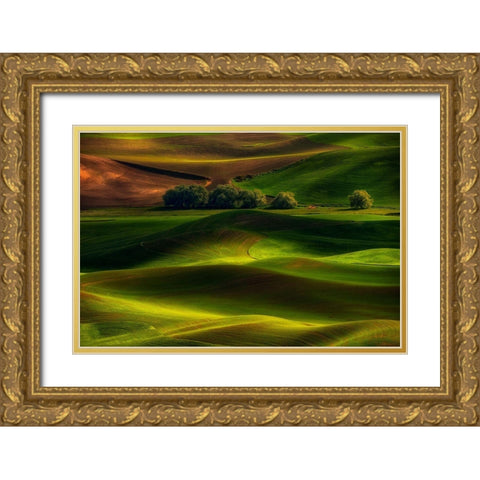 Spring In The Palouse Gold Ornate Wood Framed Art Print with Double Matting by Jacobs, Lydia