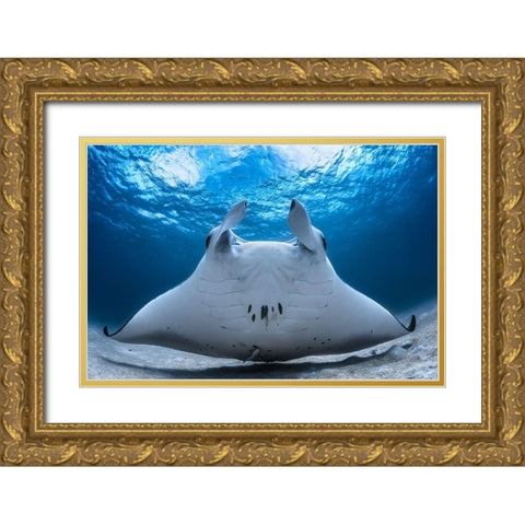 Take Off / Manta Airline Gold Ornate Wood Framed Art Print with Double Matting by Gabriel, Barathieu