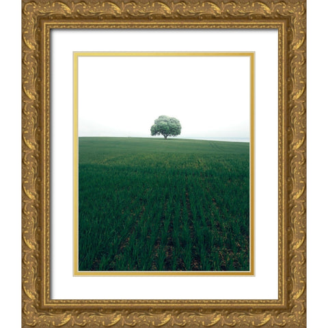 The Lonely Oak Tree Gold Ornate Wood Framed Art Print with Double Matting by Lindsten, Christian