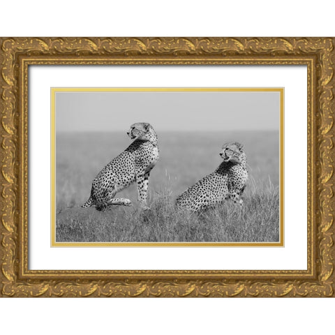 Whats Going On Here Around? Gold Ornate Wood Framed Art Print with Double Matting by Pozzi, Marco
