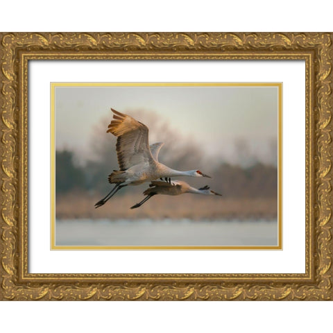 Together Gold Ornate Wood Framed Art Print with Double Matting by Feng, Young