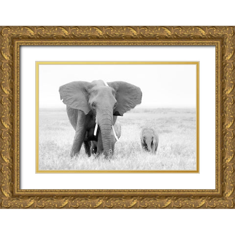 Stay Away! Gold Ornate Wood Framed Art Print with Double Matting by Fan, John