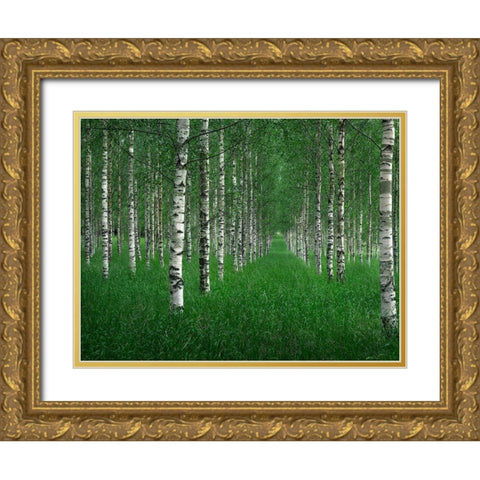 The Tunnel Gold Ornate Wood Framed Art Print with Double Matting by Lindsten, Christian