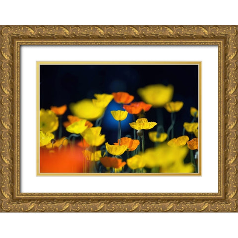 One Point Gold Ornate Wood Framed Art Print with Double Matting by Suzuki, Takashi