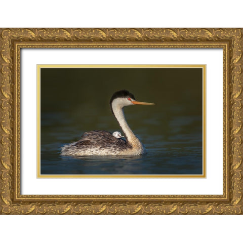 Front Seat View Gold Ornate Wood Framed Art Print with Double Matting by Barsh, Greg