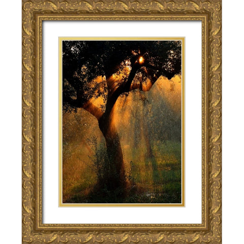 Light Shower Gold Ornate Wood Framed Art Print with Double Matting by Castoldi, Stefano