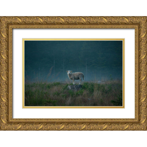 Moody Sheep Gold Ornate Wood Framed Art Print with Double Matting by Lindsten, Christian