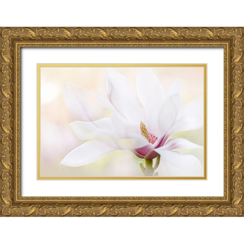 Purity Gold Ornate Wood Framed Art Print with Double Matting by Parker, Jacky