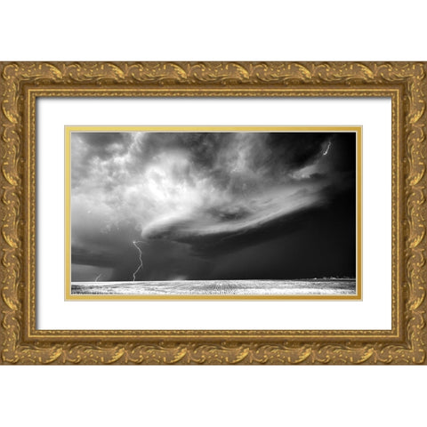 Storm Chasing Gold Ornate Wood Framed Art Print with Double Matting by Darby, Rob