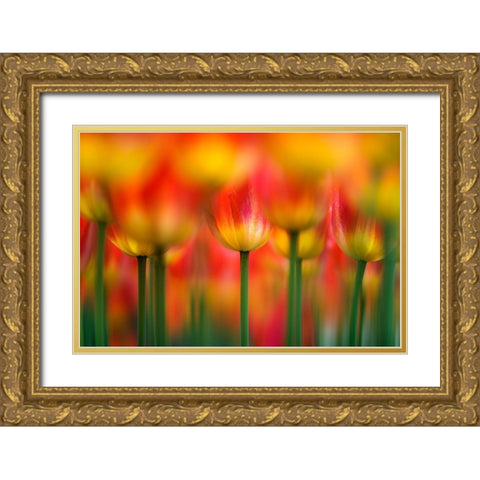 Side By Side Gold Ornate Wood Framed Art Print with Double Matting by Suzuki, Takashi