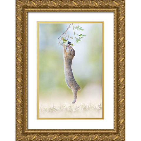 Stretch Jump Gold Ornate Wood Framed Art Print with Double Matting by Spranz, Henrik