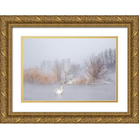Untitled Gold Ornate Wood Framed Art Print with Double Matting by Uu