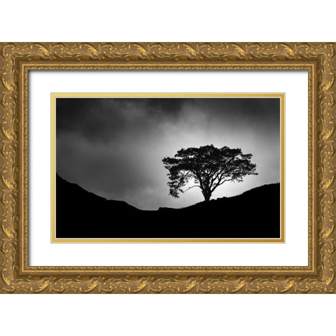 Lone Tree Gold Ornate Wood Framed Art Print with Double Matting by Meermann, Christian