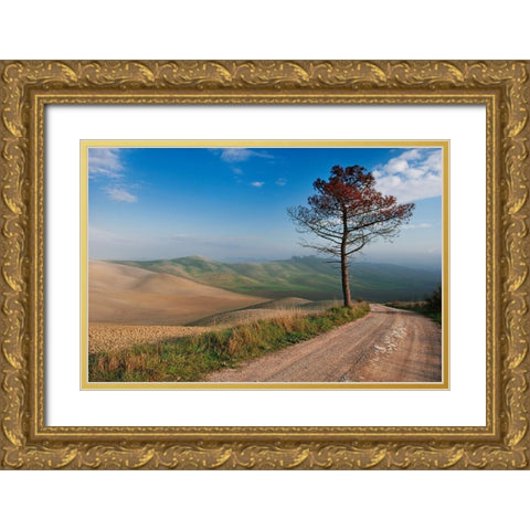 Lonely Tree Gold Ornate Wood Framed Art Print with Double Matting by Kravanja, Jure