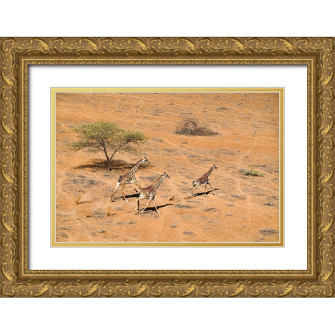 Family Paradise Gold Ornate Wood Framed Art Print with Double Matting by Fan, John