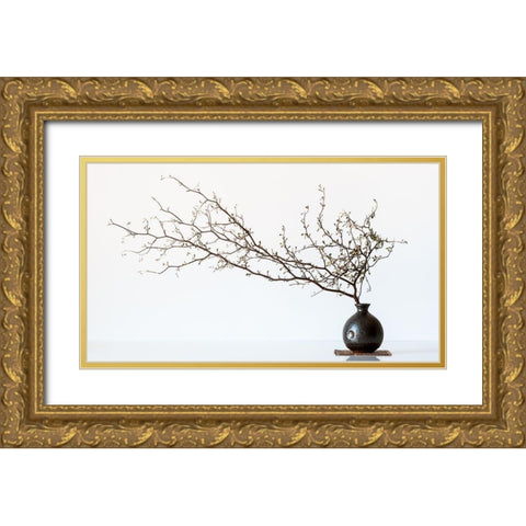 Vase And Branch Gold Ornate Wood Framed Art Print with Double Matting by Prbimages