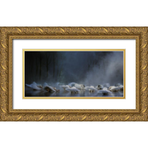 Von Rothbarts Curse Gold Ornate Wood Framed Art Print with Double Matting by Van Den, Peet