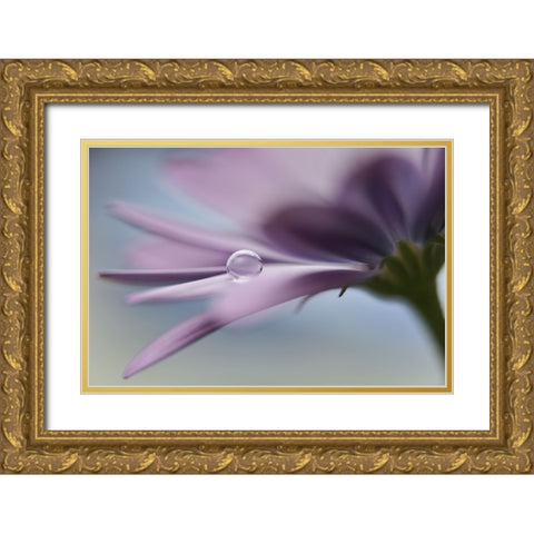 The Peaceful Drop Gold Ornate Wood Framed Art Print with Double Matting by Westum, Heidi