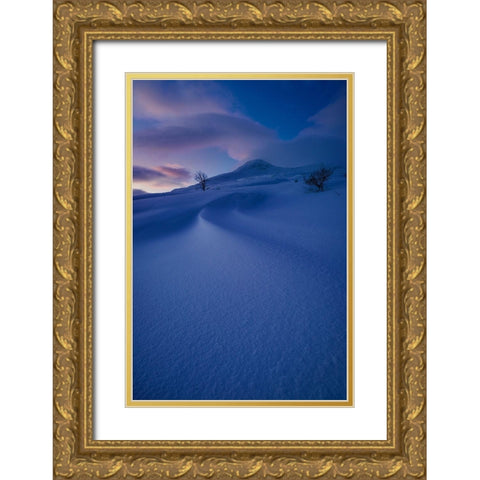 Holy Mountain.. Gold Ornate Wood Framed Art Print with Double Matting by Age Hol, Fred