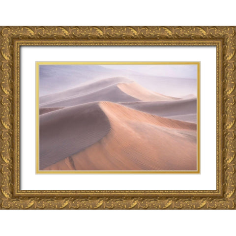 Wind Gold Ornate Wood Framed Art Print with Double Matting by Cia, Inigo