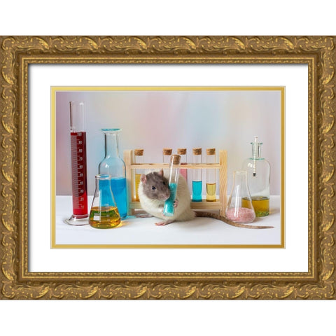 Qworkingq At The Lab Gold Ornate Wood Framed Art Print with Double Matting by Van Deelen, Ellen
