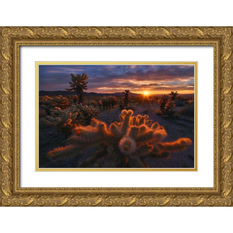 Cholla Garden Gold Ornate Wood Framed Art Print with Double Matting by Cia, Inigo