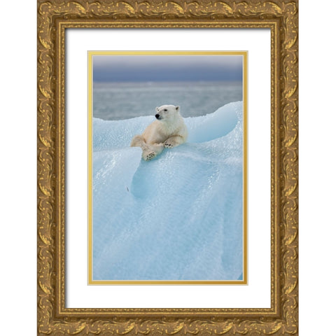Relaxed Polar Bear Gold Ornate Wood Framed Art Print with Double Matting by Gil Raga, Joan