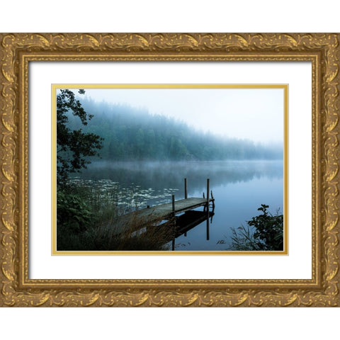 Moody morning Gold Ornate Wood Framed Art Print with Double Matting by Lindsten, Christian