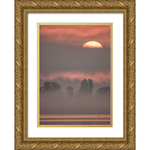 Sun Iii Gold Ornate Wood Framed Art Print with Double Matting by Hieke, Heinz