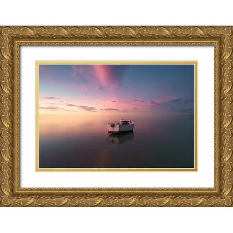 Tarragona Delta Del Ebre Alone Gold Ornate Wood Framed Art Print with Double Matting by joanaduenas