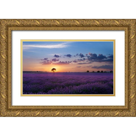 Lonely Tree In Valensole Gold Ornate Wood Framed Art Print with Double Matting by Bugnone, Paolo