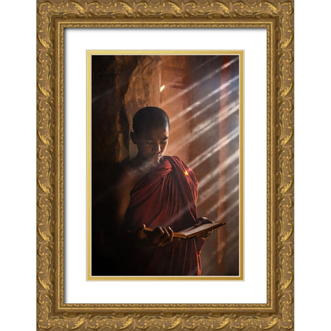 Novice Gold Ornate Wood Framed Art Print with Double Matting by Eichelberg, Amnon