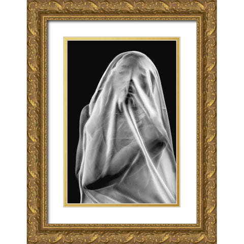 Life Behind The Veil Gold Ornate Wood Framed Art Print with Double Matting by Dixon, Colin