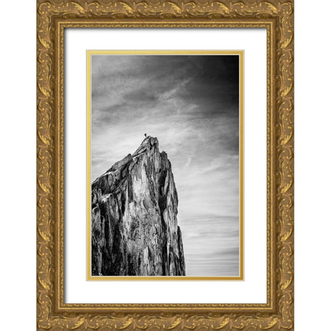 Balancing between Earth and Sky Gold Ornate Wood Framed Art Print with Double Matting by Vuillaume, Thomas