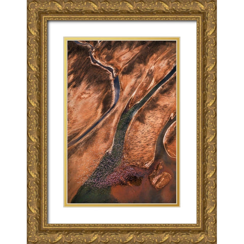 Flying Over Palette Gold Ornate Wood Framed Art Print with Double Matting by Fan, John