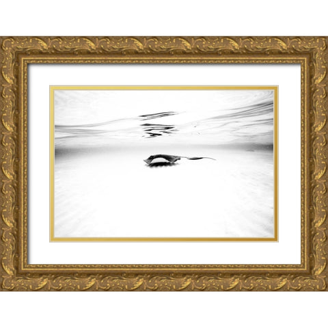 Sandbar Series I Gold Ornate Wood Framed Art Print with Double Matting by Martin De, Natalia