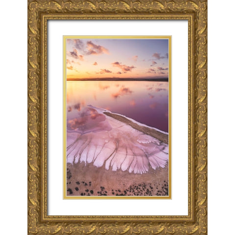 Pink Lake Gold Ornate Wood Framed Art Print with Double Matting by Carrillo Lopez, Antonio