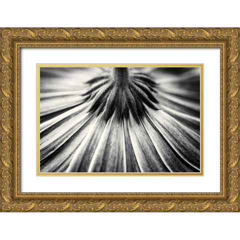 Feeling Down Gold Ornate Wood Framed Art Print with Double Matting by Van Der, Corinna