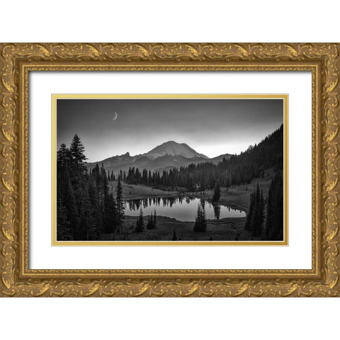 Mt. Rainier Gold Ornate Wood Framed Art Print with Double Matting by Zheng, Michael